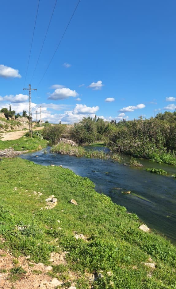 نهر العرب في اللاذقية
