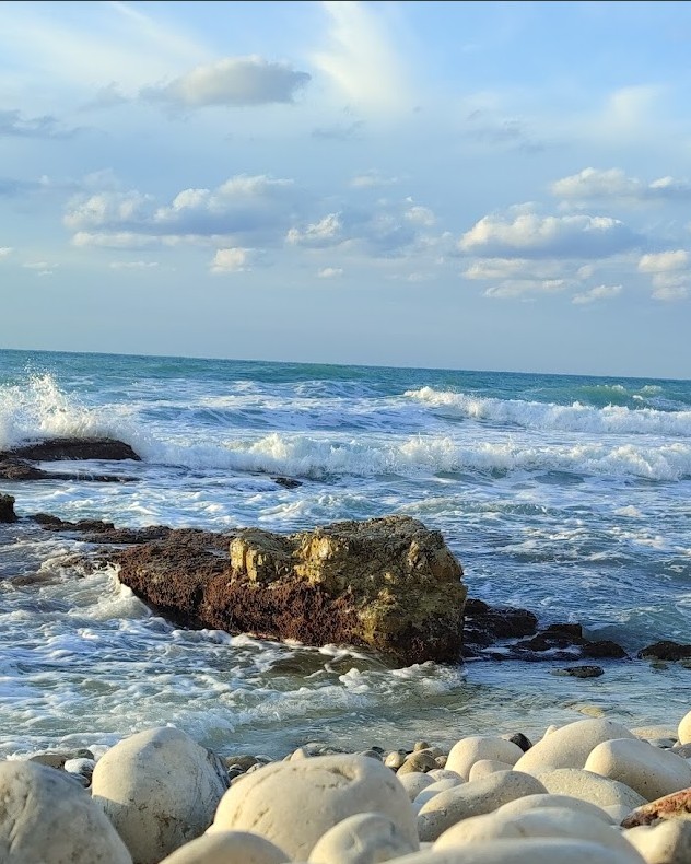 قضيت وقتاً لا يُنسى في شاطئ قوملوق ببرج إسلام. سحر المكان يكمن في بساطته، حيث ال